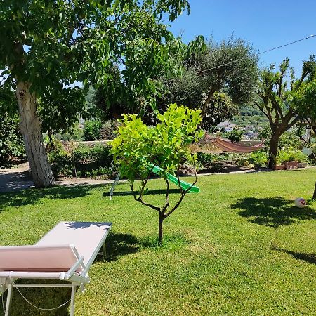 Apartamento Il Giardino Barano dʼIschia Exterior foto