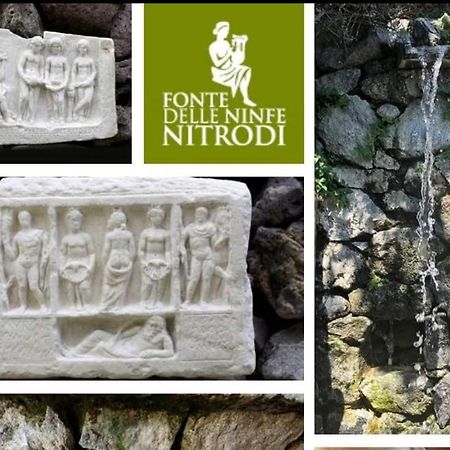 Apartamento Il Giardino Barano dʼIschia Exterior foto
