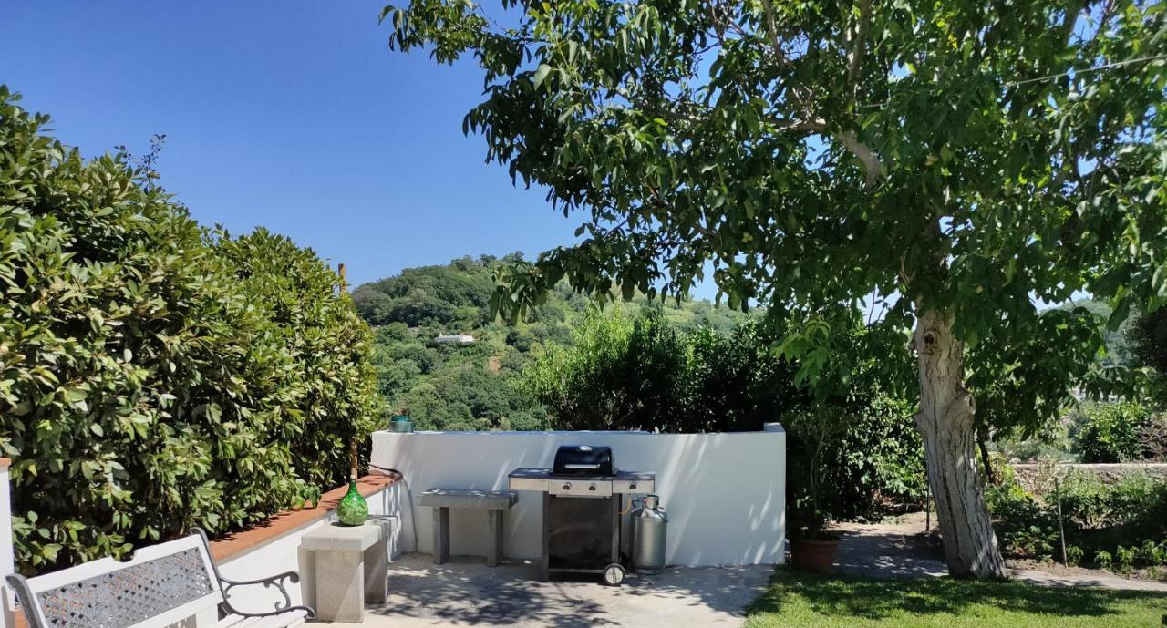 Apartamento Il Giardino Barano dʼIschia Exterior foto